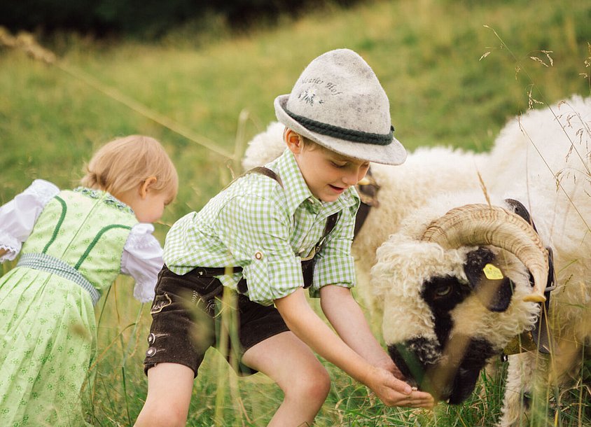 Urlaub am Bauernhof Tirol: Triendlhof im Tannheimer Tal Urlaub am Bauernhof Tirol: Triendlhof im Tannheimer Tal