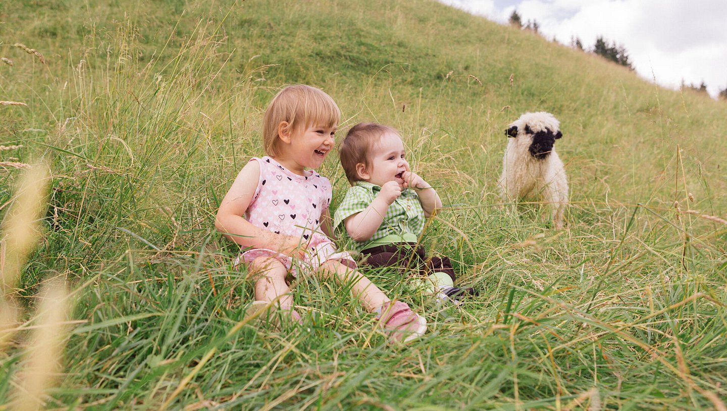 Urlaub am Bauernhof Tannheimertal. Zu Gast im Triendlhof