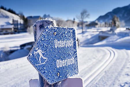 Bilder von naturnahem Urlaub Tirol - Biobauernhof Zöblen Bilder von naturnahem Urlaub Tirol - Biobauernhof Zöblen