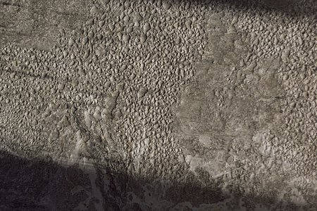 Bilder von naturnahem Urlaub Tirol - Biobauernhof Zöblen Bilder von naturnahem Urlaub Tirol - Biobauernhof Zöblen