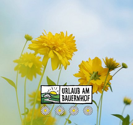 Urlaub am Bauernhof Tannheimertal. Zu Gast im Triendlhof