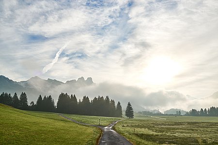 Bilder von naturnahem Urlaub Tirol - Biobauernhof Zöblen Bilder von naturnahem Urlaub Tirol - Biobauernhof Zöblen