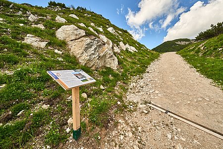 Bilder von naturnahem Urlaub Tirol - Biobauernhof Zöblen Bilder von naturnahem Urlaub Tirol - Biobauernhof Zöblen