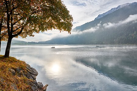 Bilder von naturnahem Urlaub Tirol - Biobauernhof Zöblen Bilder von naturnahem Urlaub Tirol - Biobauernhof Zöblen