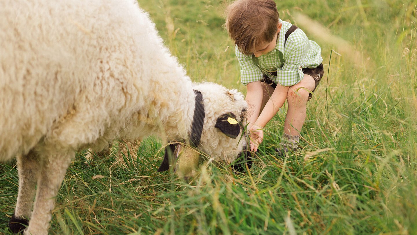 Bauernhofurlaub mit Kindern, Tirol - So viele Erlebnisse Bauernhofurlaub mit Kindern, Tirol - So viele Erlebnisse