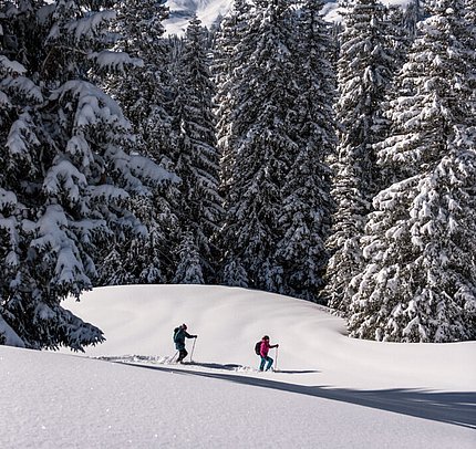 Skiurlaub, Tannheimer Tal - Triendlhof in Zöblen