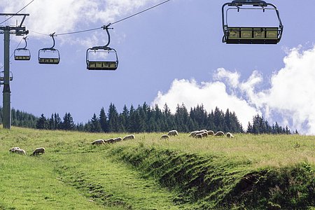 Bilder von naturnahem Urlaub Tirol - Biobauernhof Zöblen Bilder von naturnahem Urlaub Tirol - Biobauernhof Zöblen