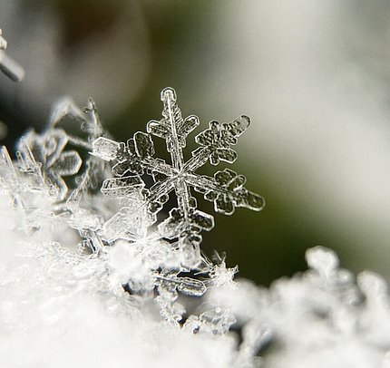 Langlaufen - Urlaub Tannheimer Tal, Zöblen im Winter