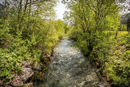 Bilder von naturnahem Urlaub Tirol - Biobauernhof Zöblen Bilder von naturnahem Urlaub Tirol - Biobauernhof Zöblen