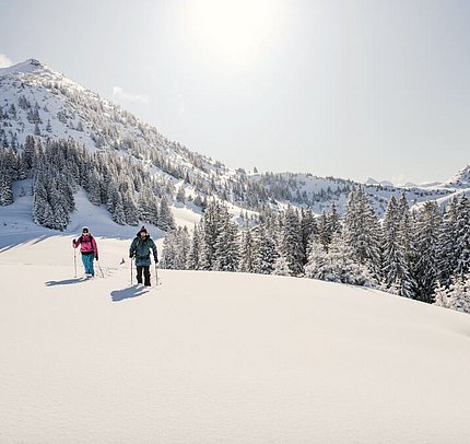 Winterurlaub Tannheimer Tal: Winterwandern Zöblen