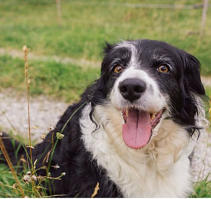 Ihre Gastgeber in der Unterkunft, Tannheimer Tal, Zöblen Ihre Gastgeber in der Unterkunft, Tannheimer Tal, Zöblen