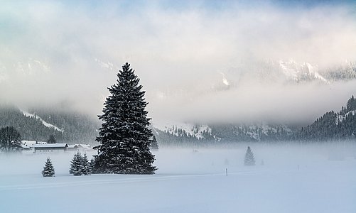 Bilder von naturnahem Urlaub Tirol - Biobauernhof Zöblen Bilder von naturnahem Urlaub Tirol - Biobauernhof Zöblen