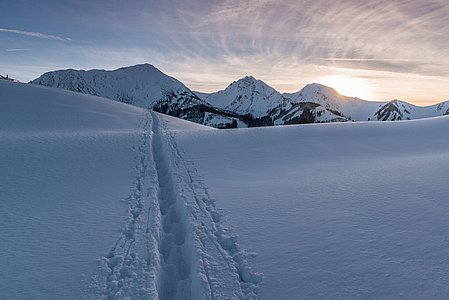 Bilder von naturnahem Urlaub Tirol - Biobauernhof Zöblen Bilder von naturnahem Urlaub Tirol - Biobauernhof Zöblen