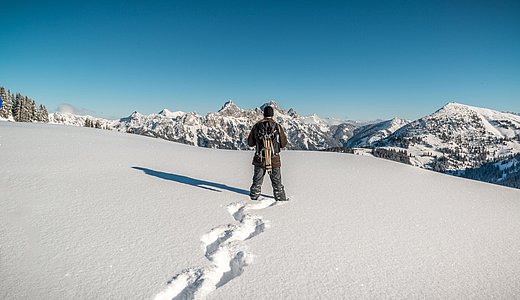 Bilder von naturnahem Urlaub Tirol - Biobauernhof Zöblen Bilder von naturnahem Urlaub Tirol - Biobauernhof Zöblen