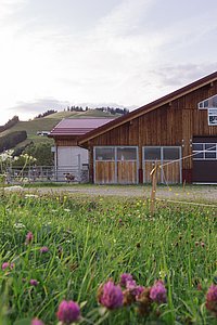 Bilder von naturnahem Urlaub Tirol - Biobauernhof Zöblen Bilder von naturnahem Urlaub Tirol - Biobauernhof Zöblen